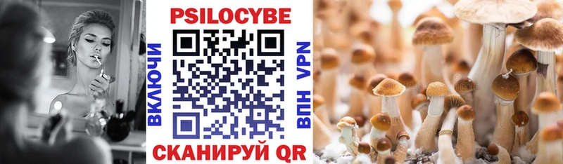 Псилоцибиновые грибы MAGIC MUSHROOMS  магазин    Протвино 